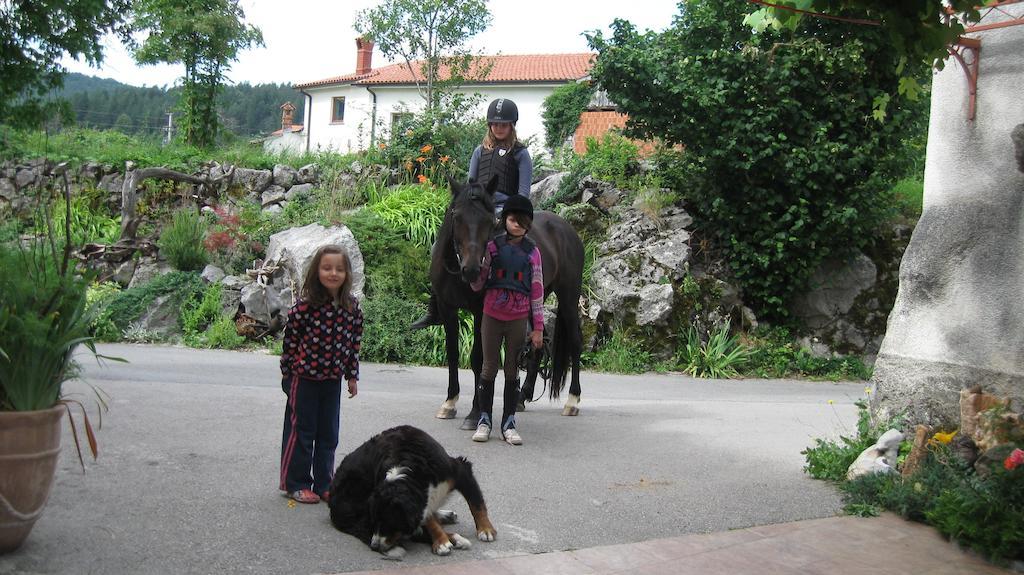 Tourist Farm Dujceva Domacija Villa Vremski Britof Exterior photo